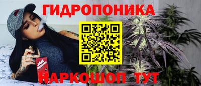 гидропоника Балахна