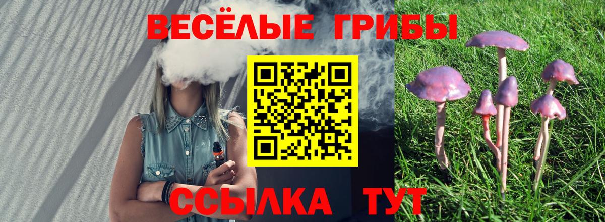 Галлюциногенные грибы Cubensis  Вход с VPN  Воронеж  где можно купить   Галлюциногенные грибы ЛСД 