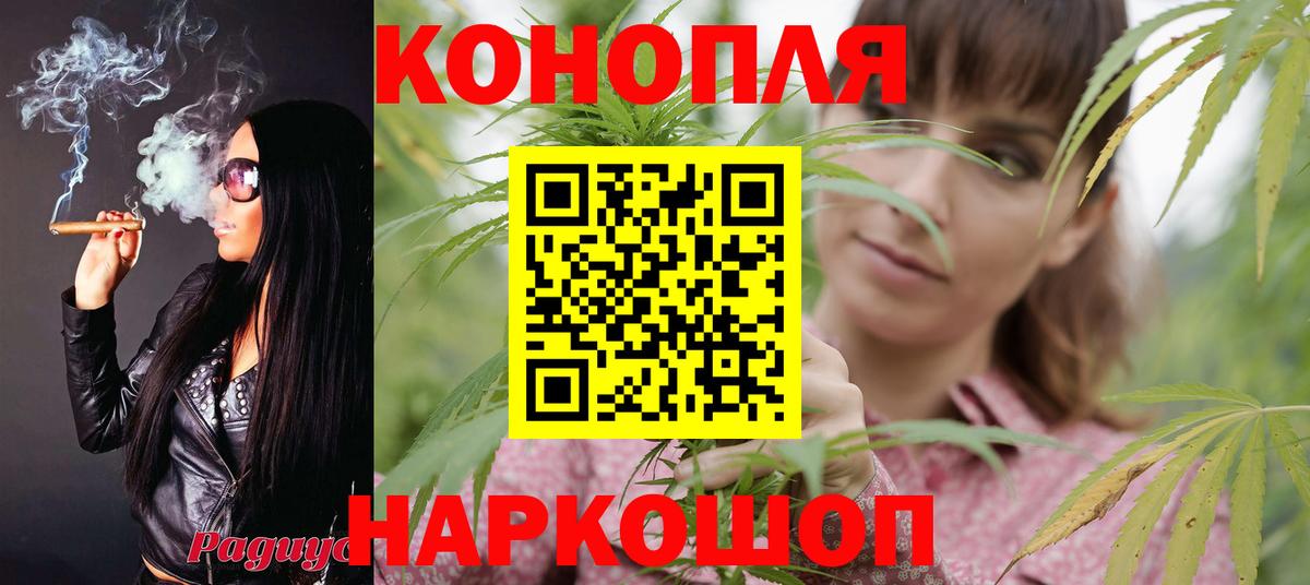 Бошки Шишки MAZAR  Вход с VPN  МАРИХУАНА план  Канабис ГИДРОПОН  Воронеж 